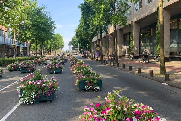 Verkeersknip voor handout